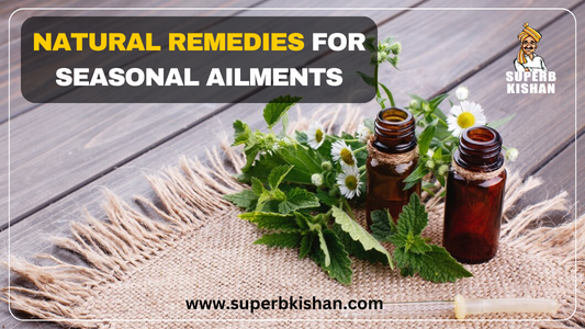 Diwali and Ayurvedic Plants : Natural Remedies for Seasonal Ailments