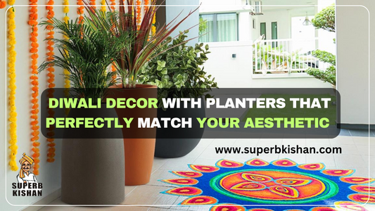 Elevate Your Diwali Decor with Planters that Perfectly Match Your Aesthetic