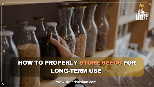 How to properly store seeds for long-term use