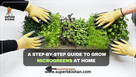 A step-by-step guide to growing microgreens at home!