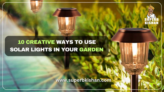10 Creative Ways to Use Solar Lights in Your Garden
