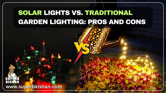 Solar Lights vs. Traditional Garden Lighting: Pros and Cons