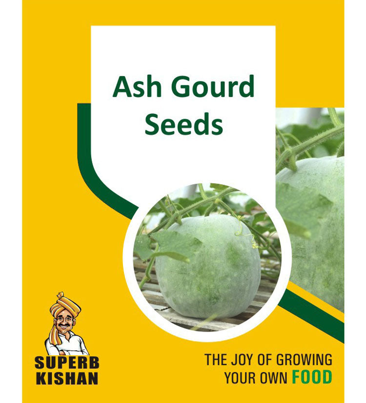 Ash Gourd Vegetables Seed - SuperbKishan