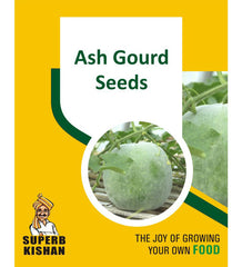 Ash Gourd Vegetables Seed - SuperbKishan