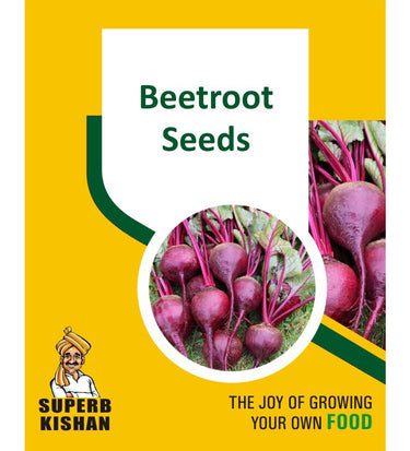 Beetroot Vegetable Seeds - SuperbKishan