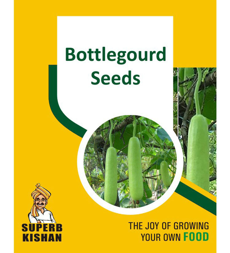 Bottlegourd Vegetable Seeds - SuperbKishan
