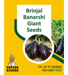 Brinjal Banarshi Gaint Vegetables Seeds - SuperbKishan