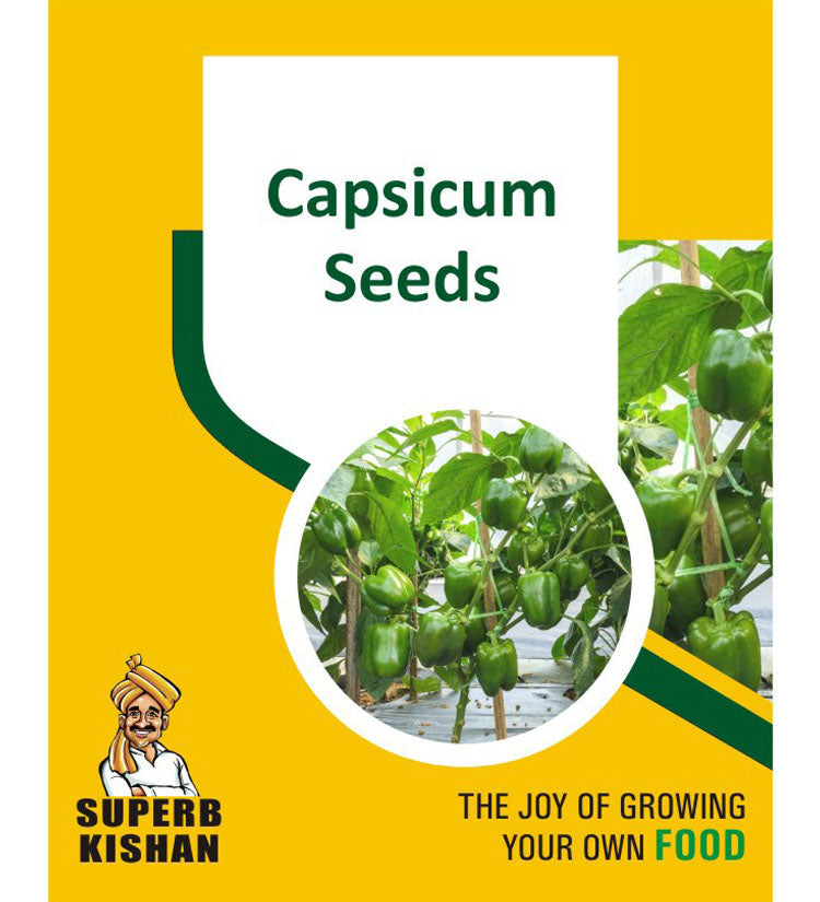 Capsicum Vegetables Seeds - SuperbKishan