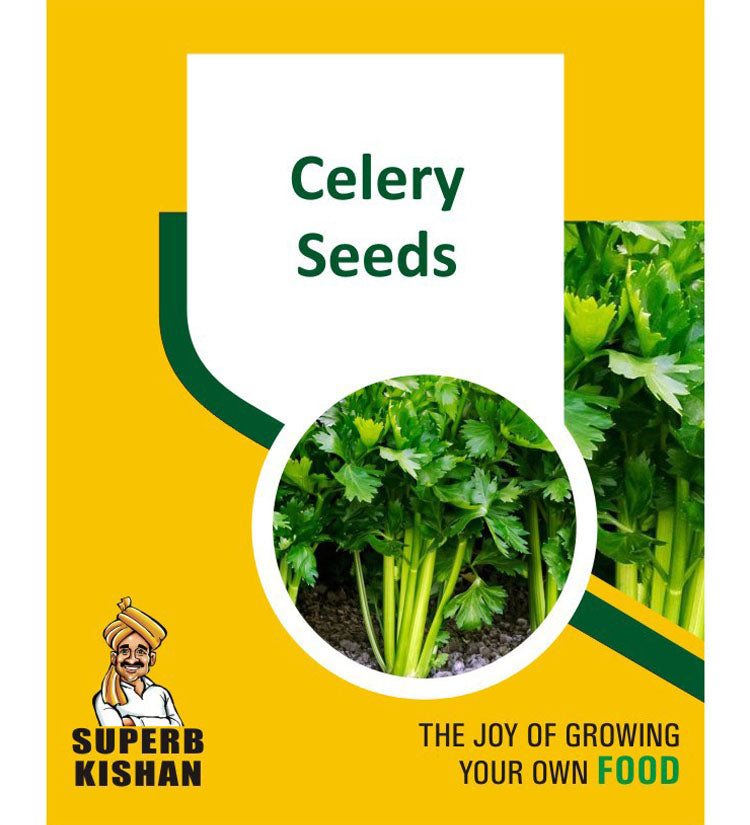 Celery Vegetable Seeds - SuperbKishan