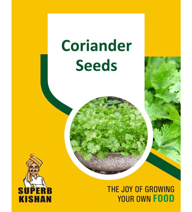Coriander Vegetable Seeds - SuperbKishan