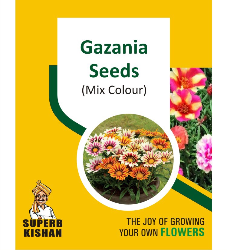Gazania flower seeds - SuperbKishan