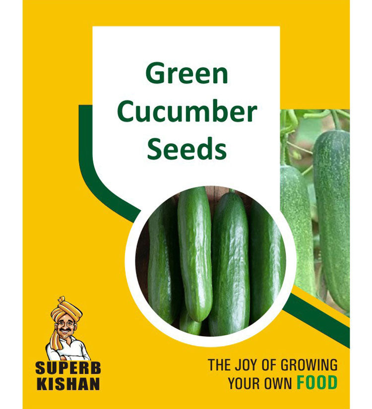 Green Cucumber Vegetable Seeds (Long) - SuperbKishan