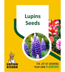 Lupin Flower seeds - SuperbKishan