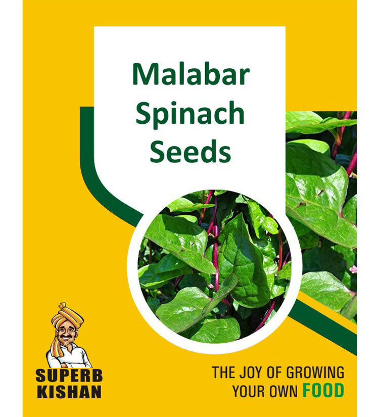 Malabar Spinach Vegetable Seeds - SuperbKishan