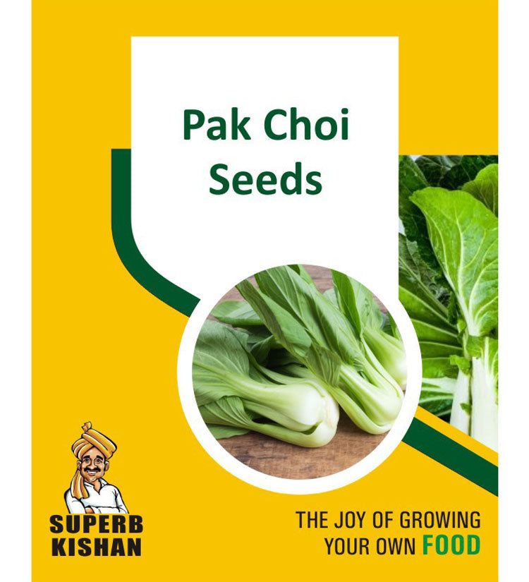 Pak Choi Vegetable Seeds - SuperbKishan