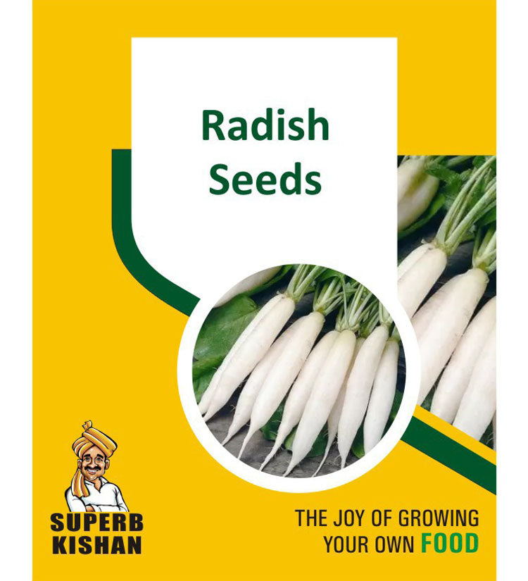 Radish Vegetable Seeds - SuperbKishan