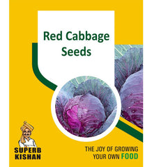 Red cabbage Vegetable Seeds - SuperbKishan