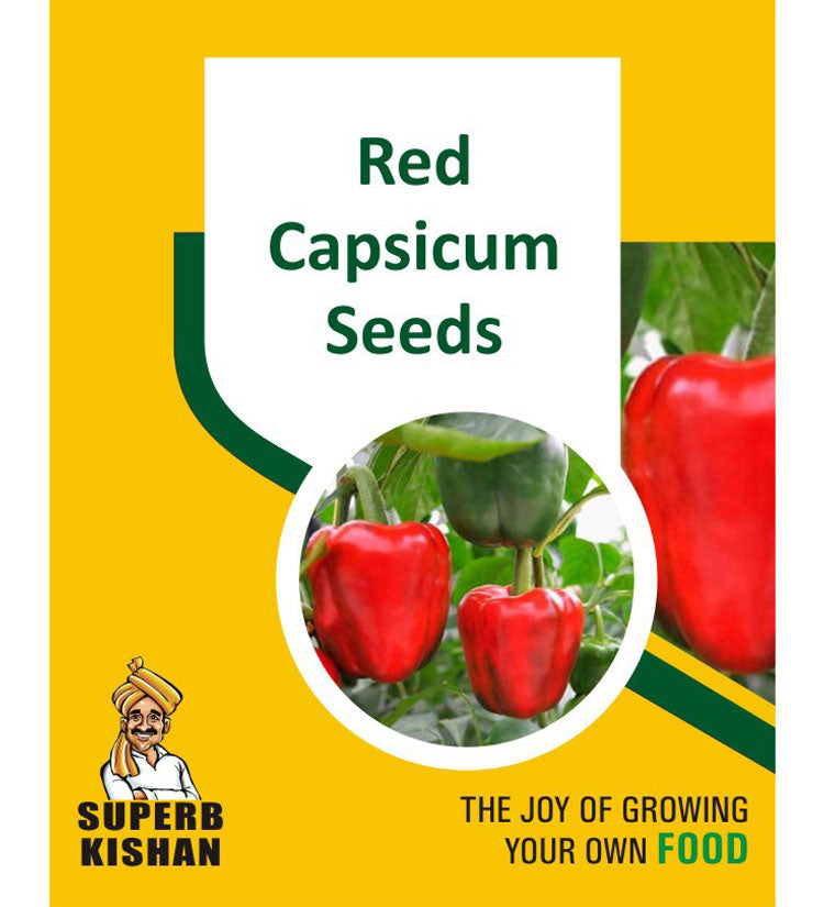 Red Capsicum Vegetable Seeds - SuperbKishan
