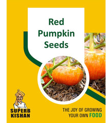Red Pumpkin Vegetable Seeds - SuperbKishan