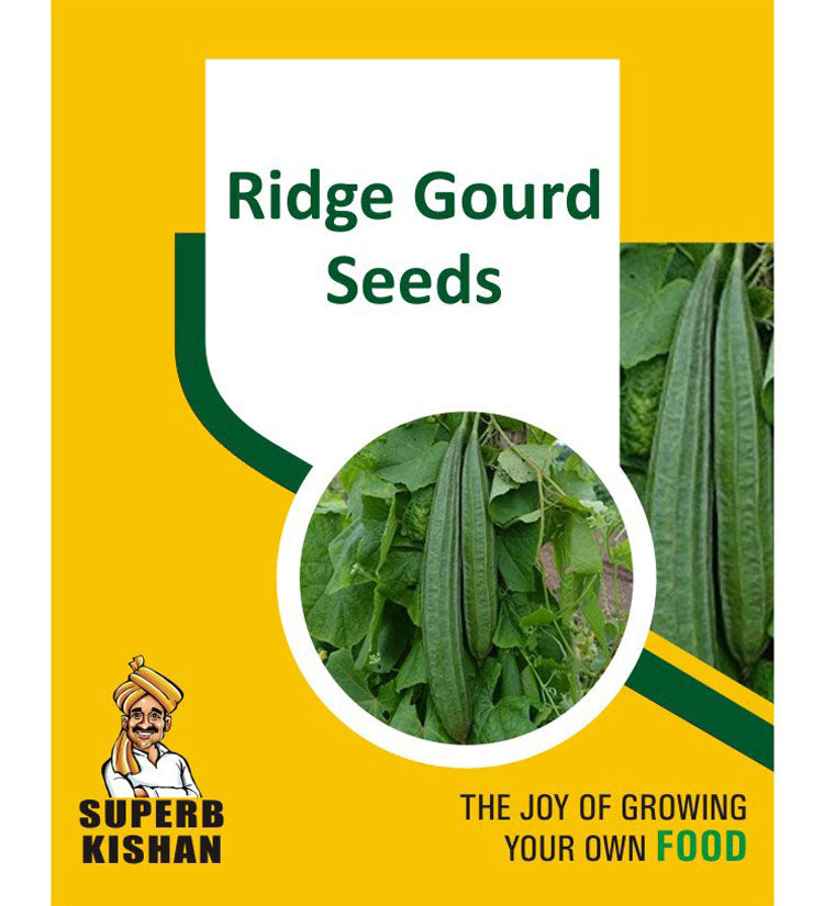 Ridge gourd Vegetable Seeds - SuperbKishan