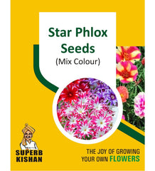 Star Pholx Flower Seeds - SuperbKishan
