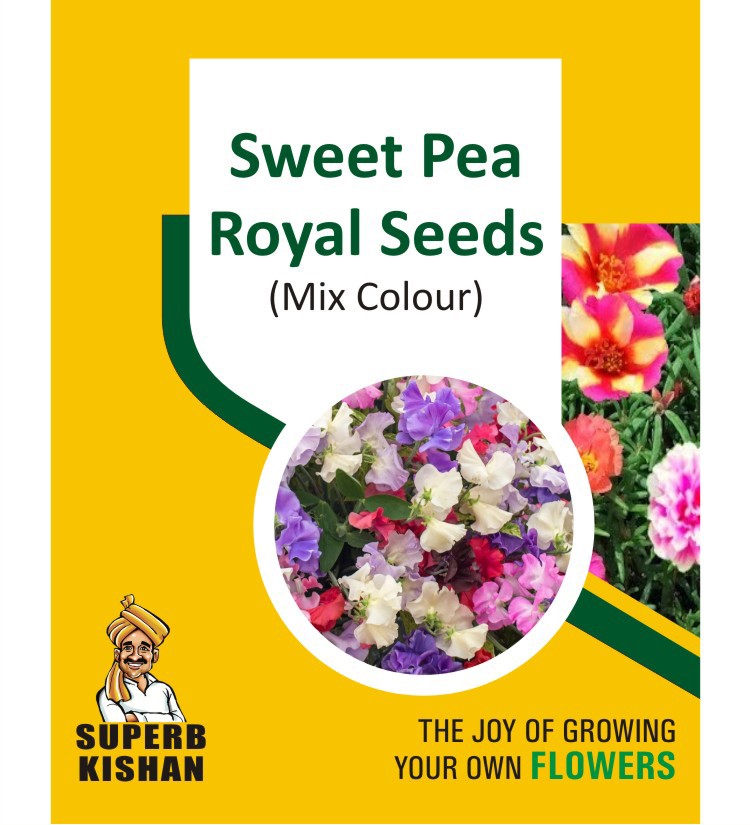 Sweet Pea Royal Flower Seeds - SuperbKishan