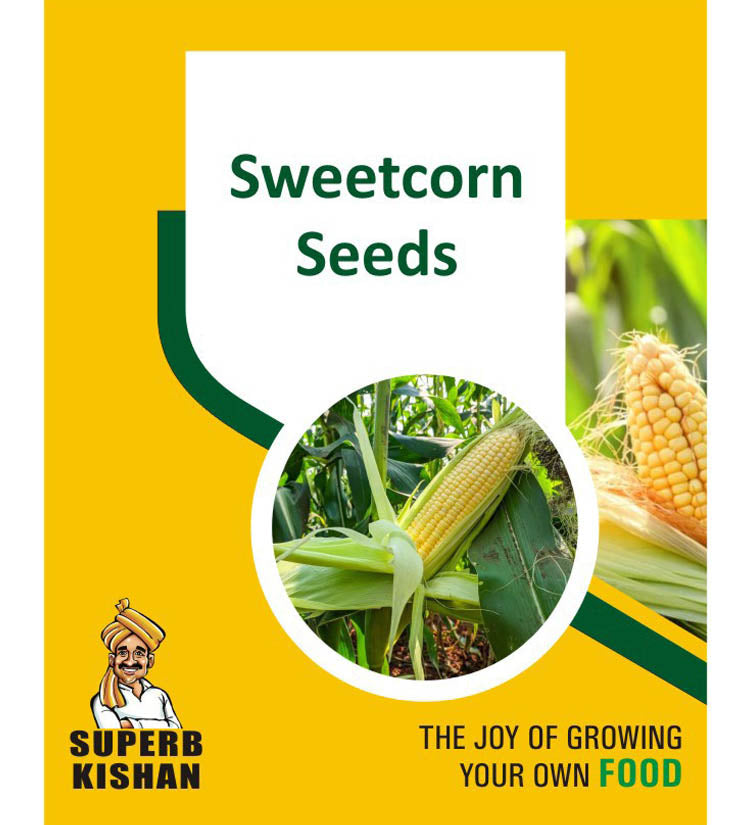 Sweetcorn Vegetable Seeds - SuperbKishan