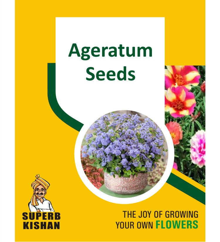 Ageratum Flower Seeds - SuperbKishan