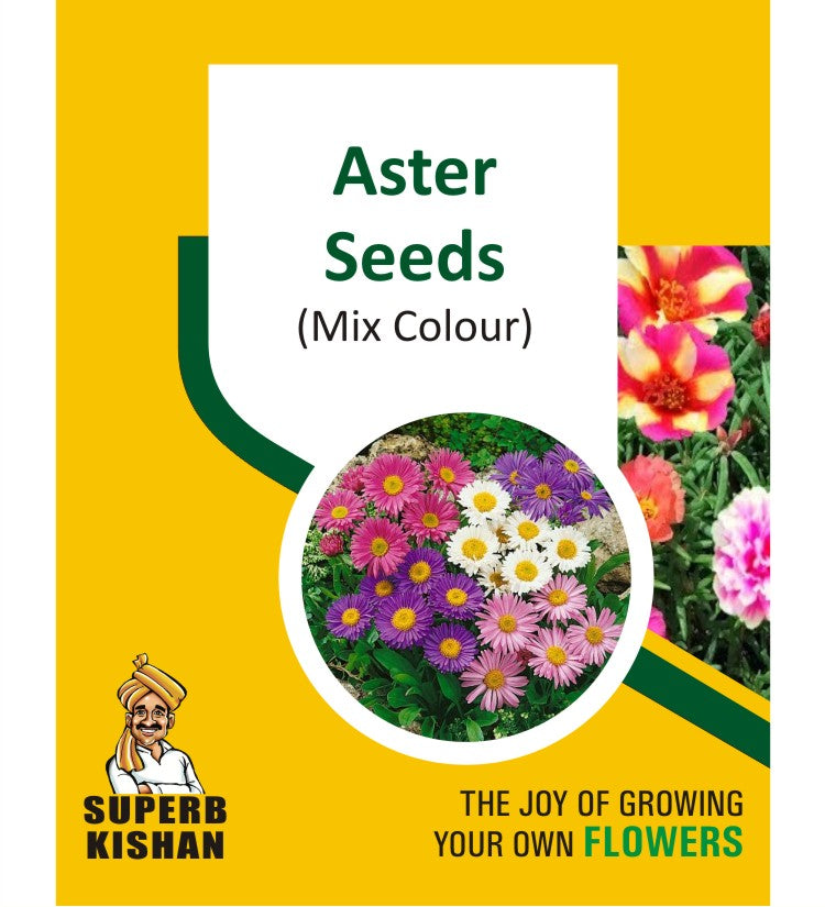 Aster Mix Flower Seeds - SuperbKishan