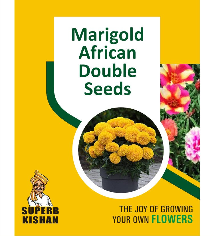 Marigold African Double Flower Seeds - SuperbKishan