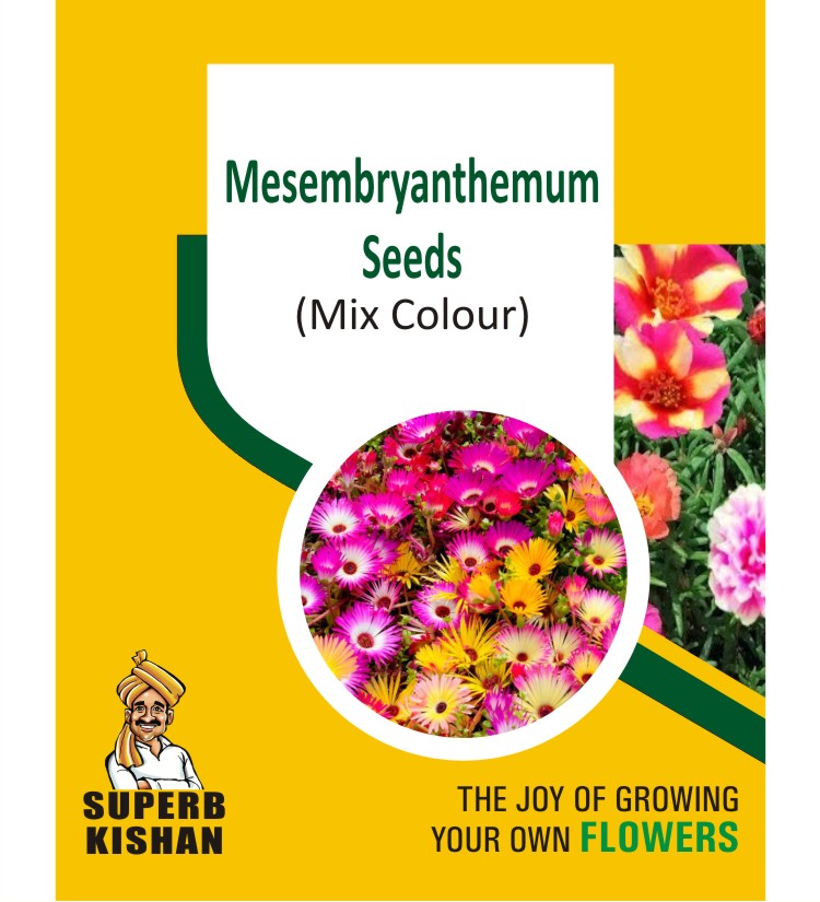 Mesembryanthemum Mix Flower Seeds - SuperbKishan