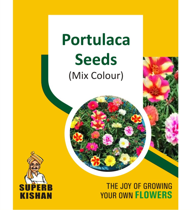 Portulaca Mix Flower Seeds - SuperbKishan