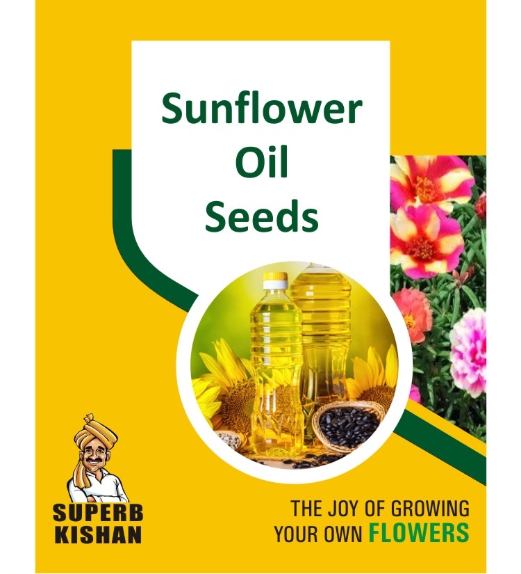 Sunflower Oil Flower Seeds - SuperbKishan