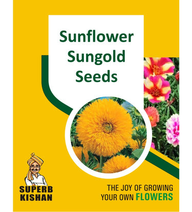 Sunflower Sungold Flower Seeds - SuperbKishan