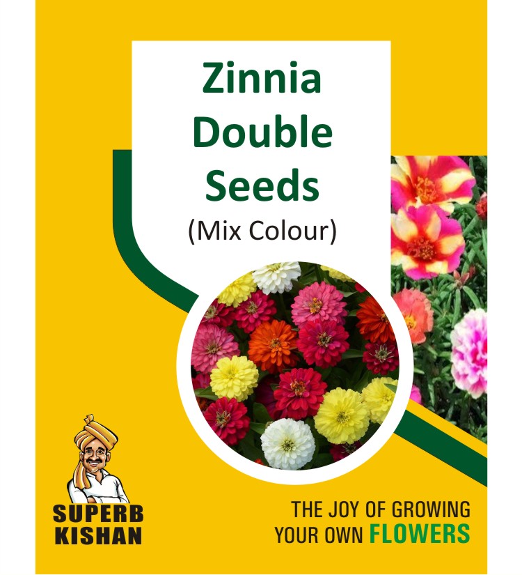 Zinnia Double Mix Flower Seeds - SuperbKishan