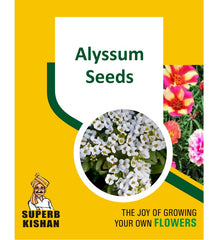 Alyssum Flower Seeds - SuperbKishan