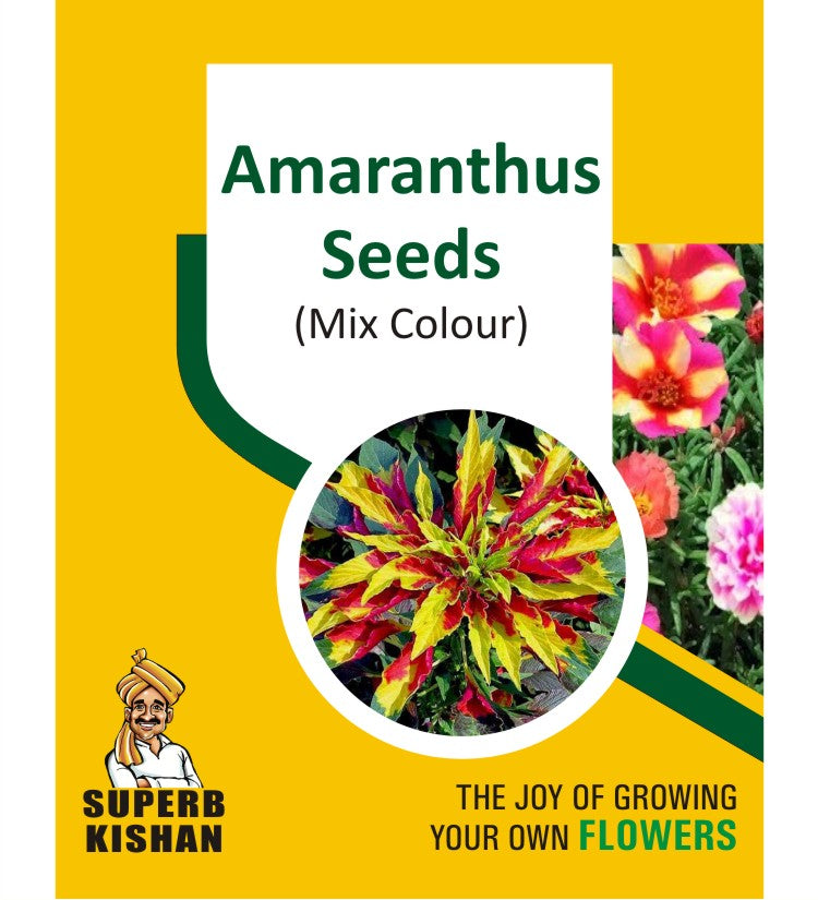Amaranthus Mix Flower Seeds - SuperbKishan