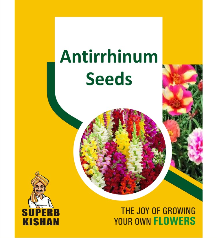 Antirrhinum Flower Seeds - SuperbKishan