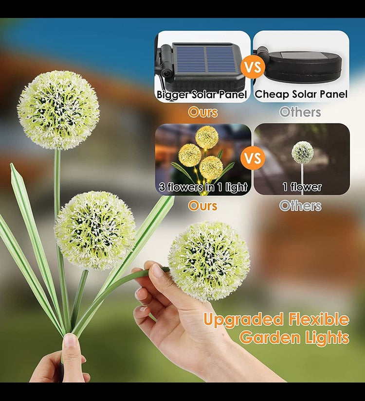 Solar Outdoor Lights Decorative, Solar Garden Dandelion Lights with 36 LED & 2 Working Modes, IP65 Waterproof Lights for Pathway, Yard, Lawn Decoration [ Multi, Pack of 1 ]