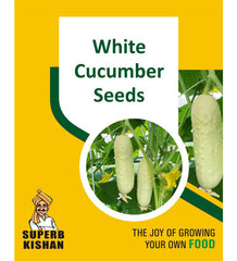 White cucumber Vegetable Seeds - SuperbKishan