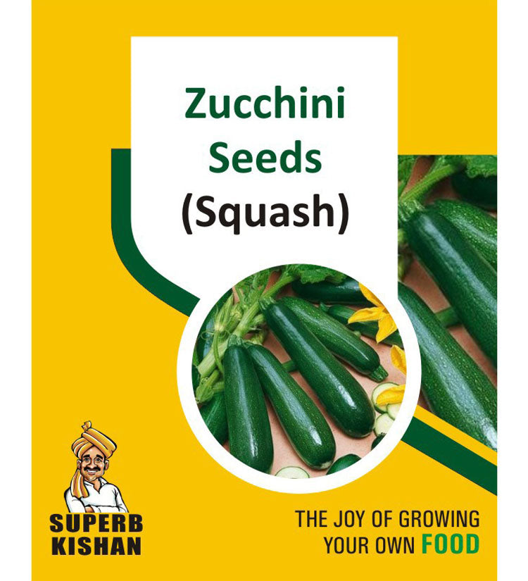 Zucchini seeds (squash) Vegetable Seeds - SuperbKishan